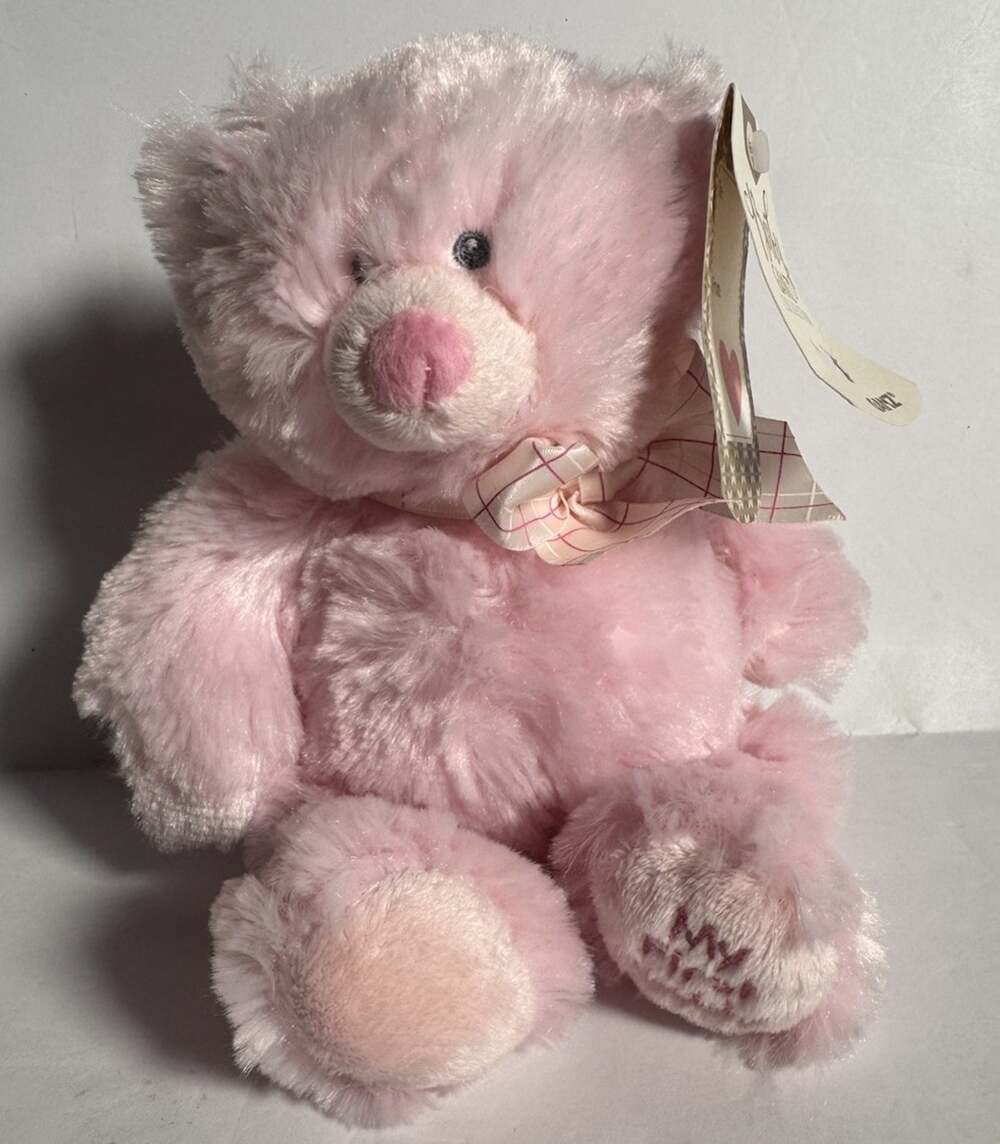 Ganz Baby My First Teddy Pink Plush Bear Stuffed Animal BG2765 NWT